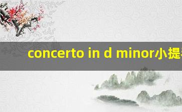 concerto in d minor小提琴